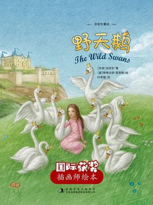 cover image of 野天鹅 (The Wild Swans)